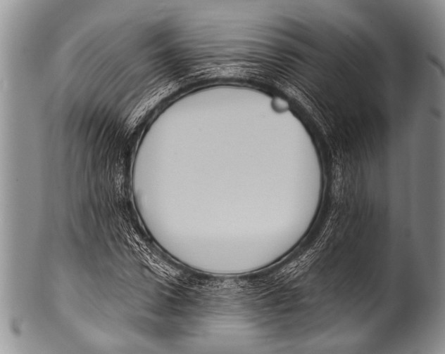 X0000100320922200806261223