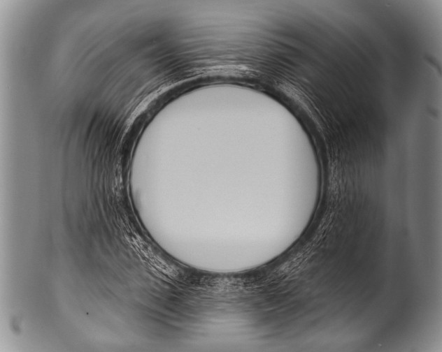 X0000100320923200806261223