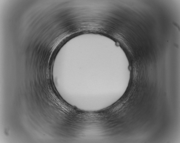 X0000100320924200806261223