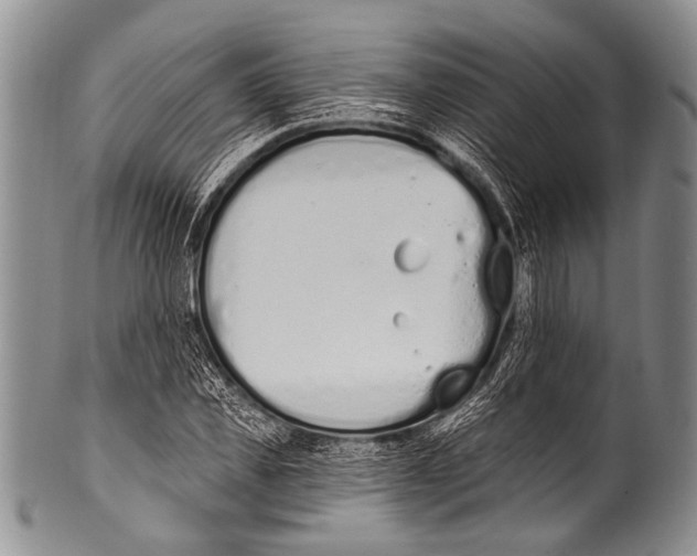 X0000100320925200806261223