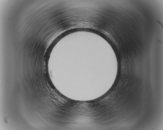 X0000100320926200806261223