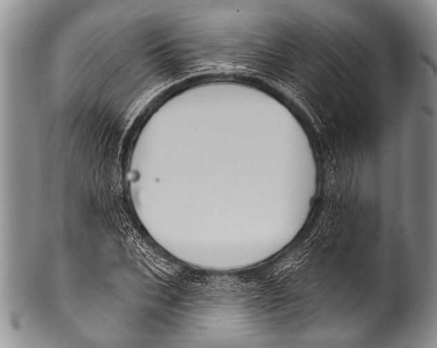 X0000100320927200806261223