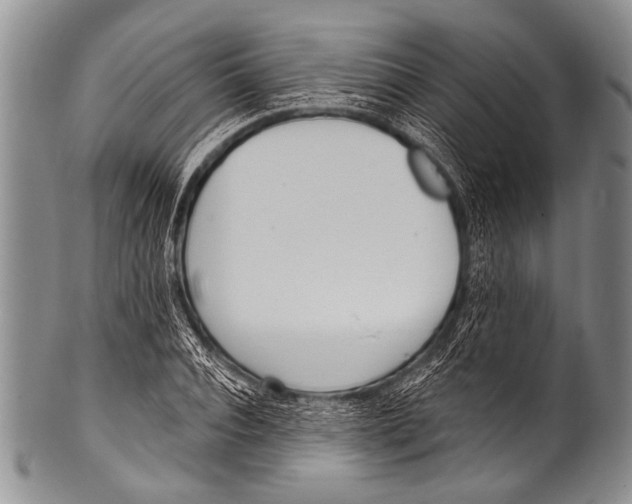 X0000100320928200806261223