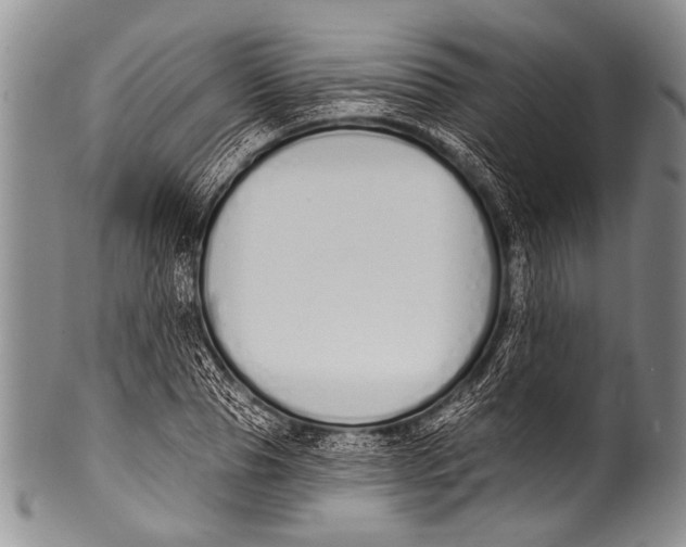 X0000100320929200806261223