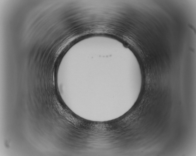 X0000100320934200806261223