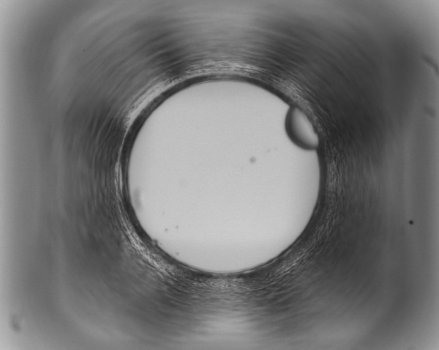 X0000100320936200806261223