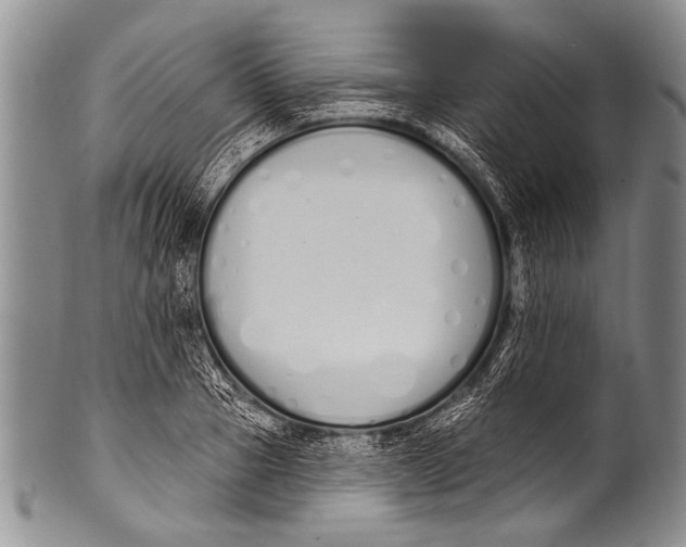 X0000100320937200806261223