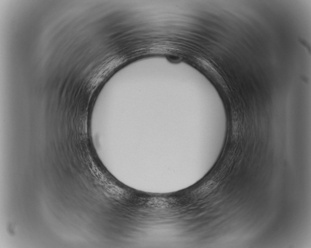 X0000100320938200806261223