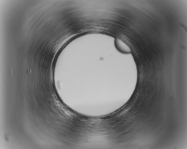 X0000100320940200806261223