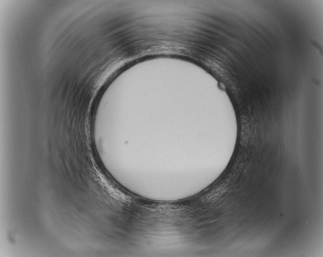 X0000100320942200806261223