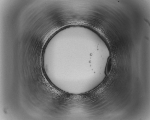 X0000100320943200806261223