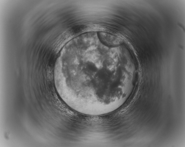 X0000100320945200806261223