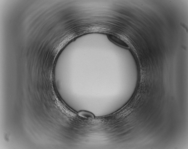 X0000100320946200806261223