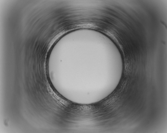 X0000100320947200806261223