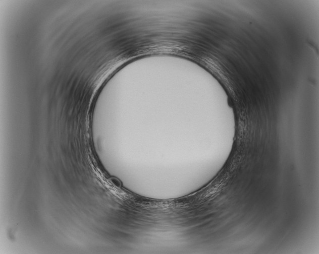 X0000100320948200806261223