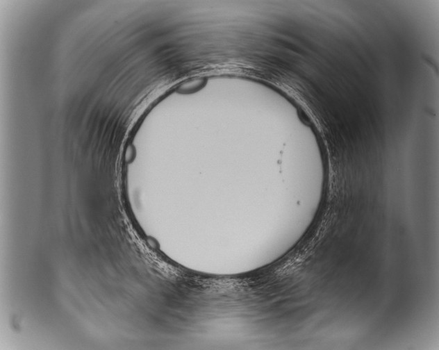 X0000100320949200806261223