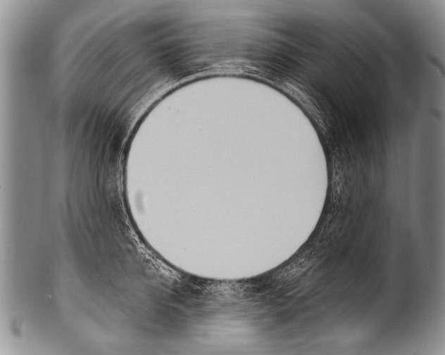 X0000100320950200806261223