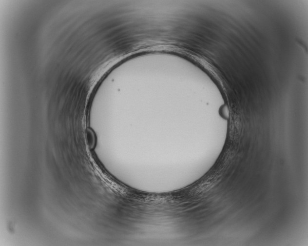 X0000100320951200806261223