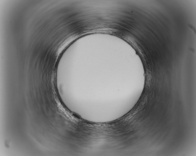 X0000100320952200806261223