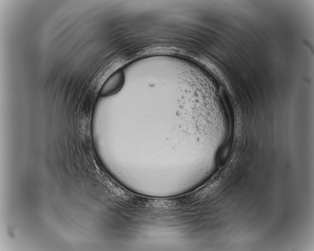 X0000100320953200806261223