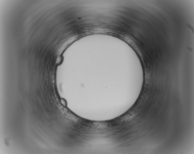 X0000100320954200806261223