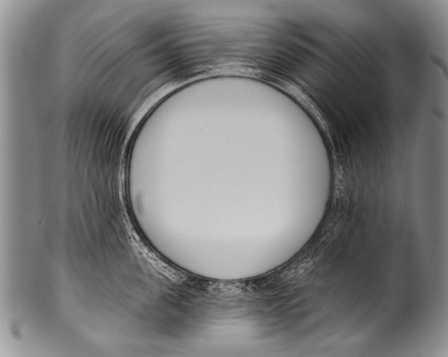 X0000100320955200806261223