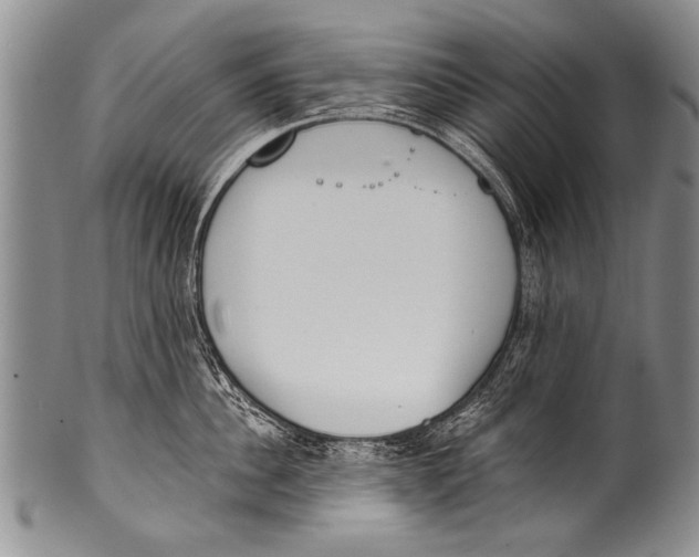 X0000100320956200806261223