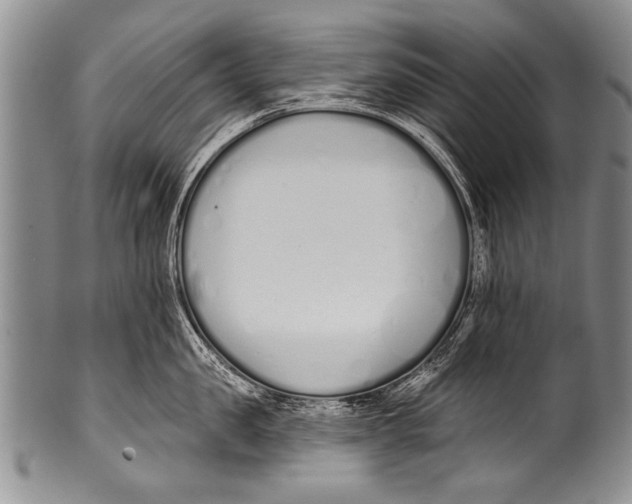 X0000100320957200806261223