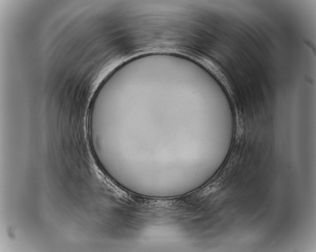 X0000100320958200806261223