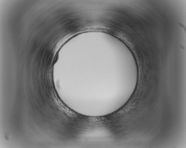 X0000100320960200806261223