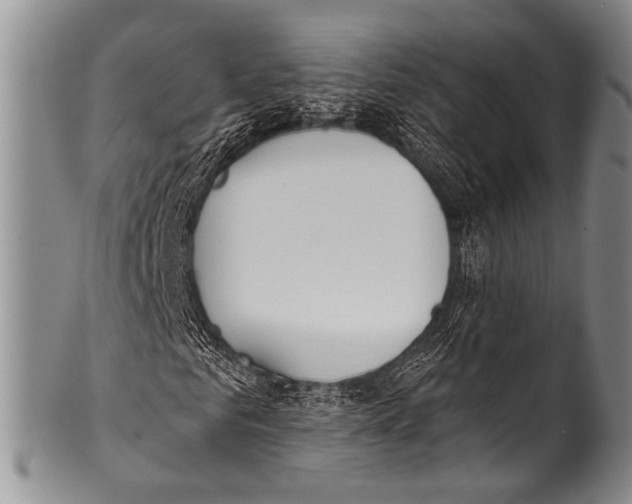 X0000100320961200806261223