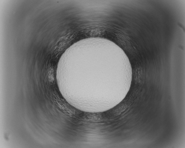 X0000100320962200806261223