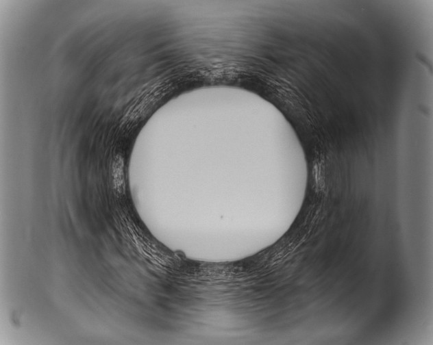 X0000100320963200806261223