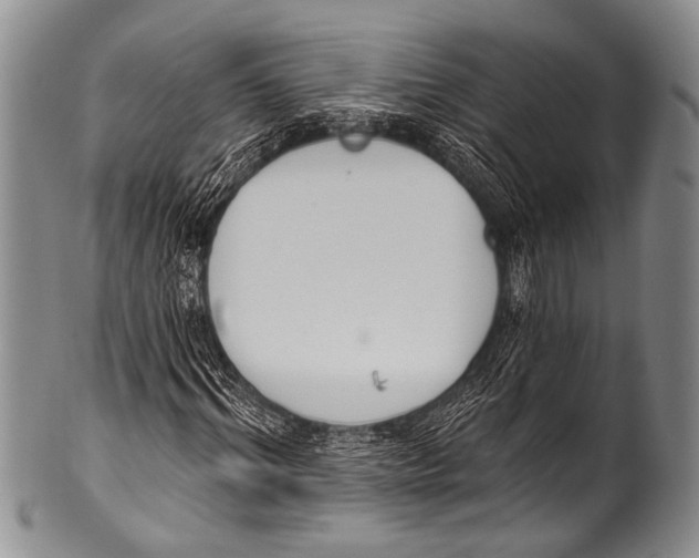 X0000100320964200806261223