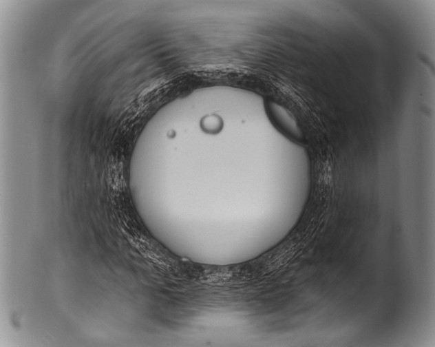 X0000100320965200806261223