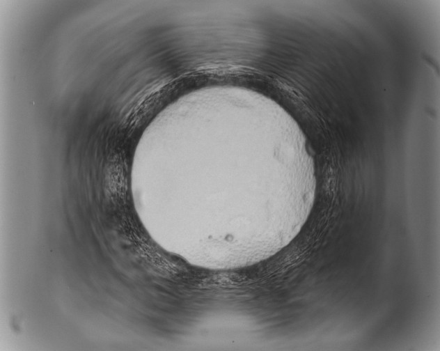 X0000100320966200806261223