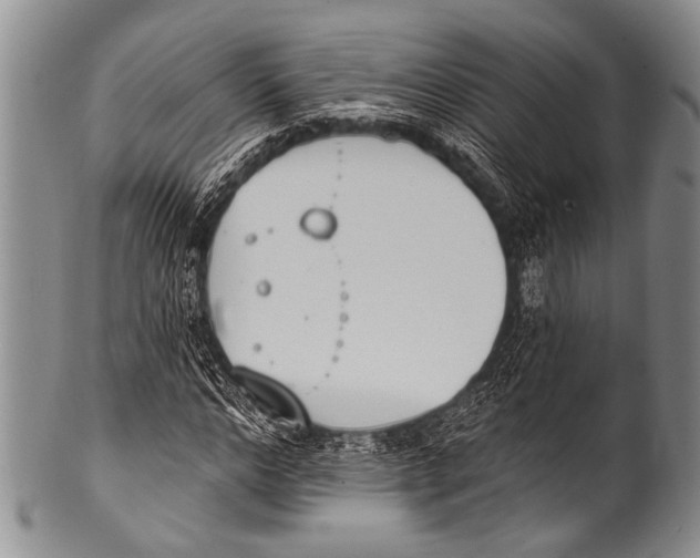 X0000100320968200806261222