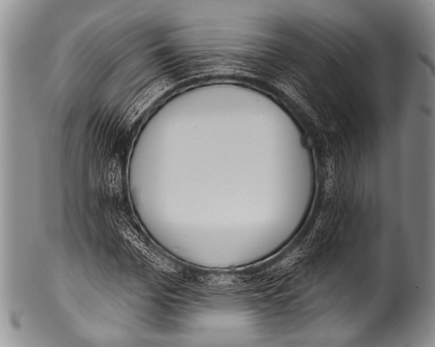 X0000100320969200806261222