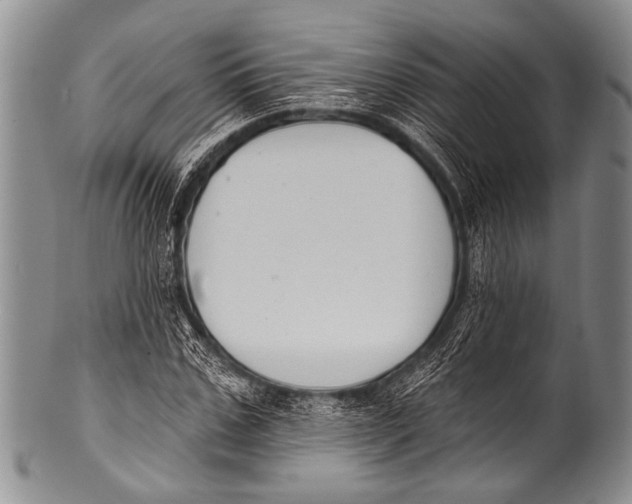 X0000100320971200806261222