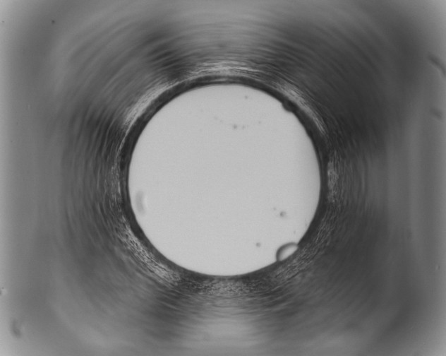 X0000100320972200806261222