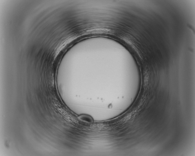 X0000100320973200806261222