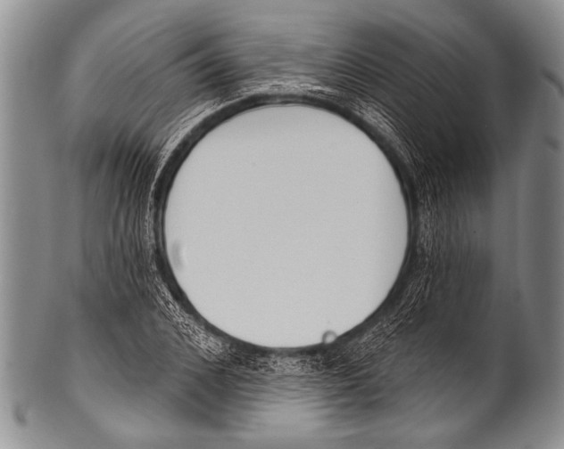 X0000100320976200806261222