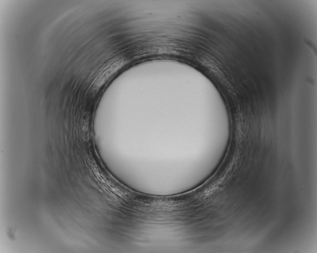 X0000100320977200806261222