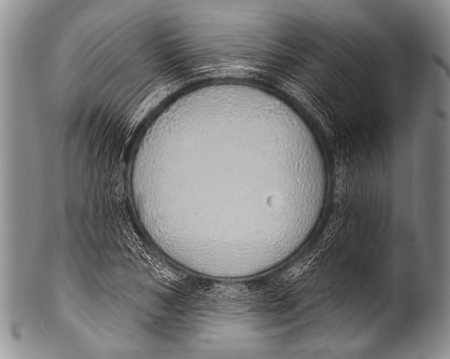 X0000100320978200806261222