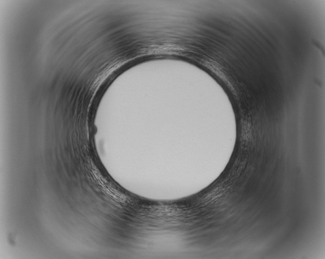 X0000100320980200806261222