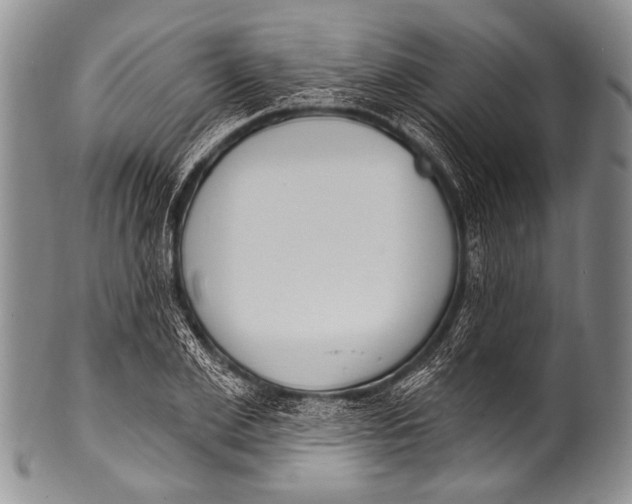 X0000100320981200806261222