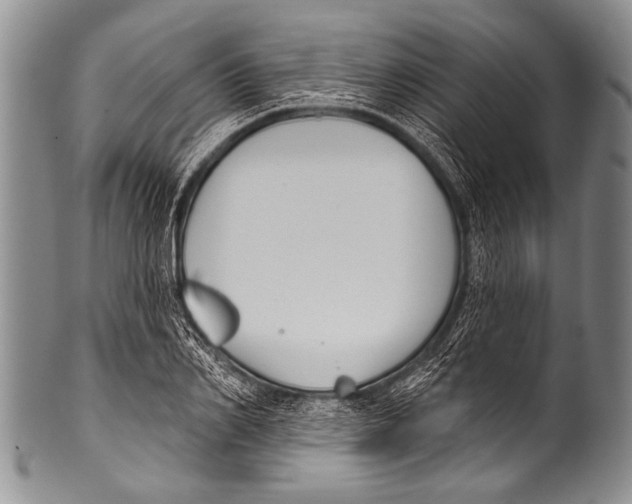 X0000100320982200806261222