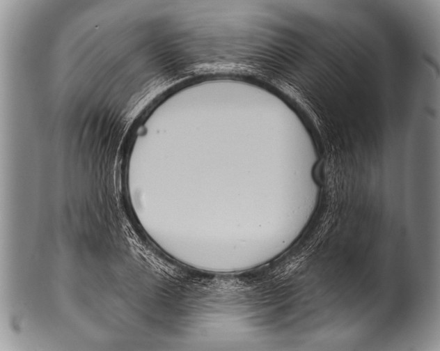 X0000100320983200806261222