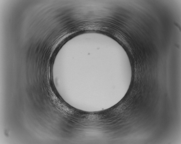 X0000100320984200806261222