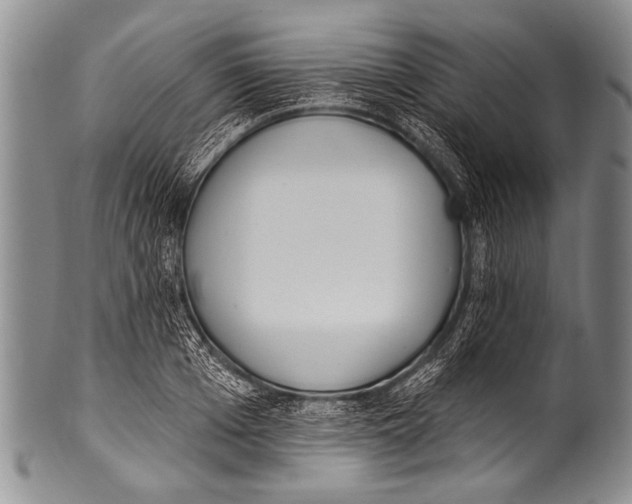 X0000100320985200806261222